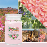 Yankee Candle DESERT BLOOMS candela profumata grande