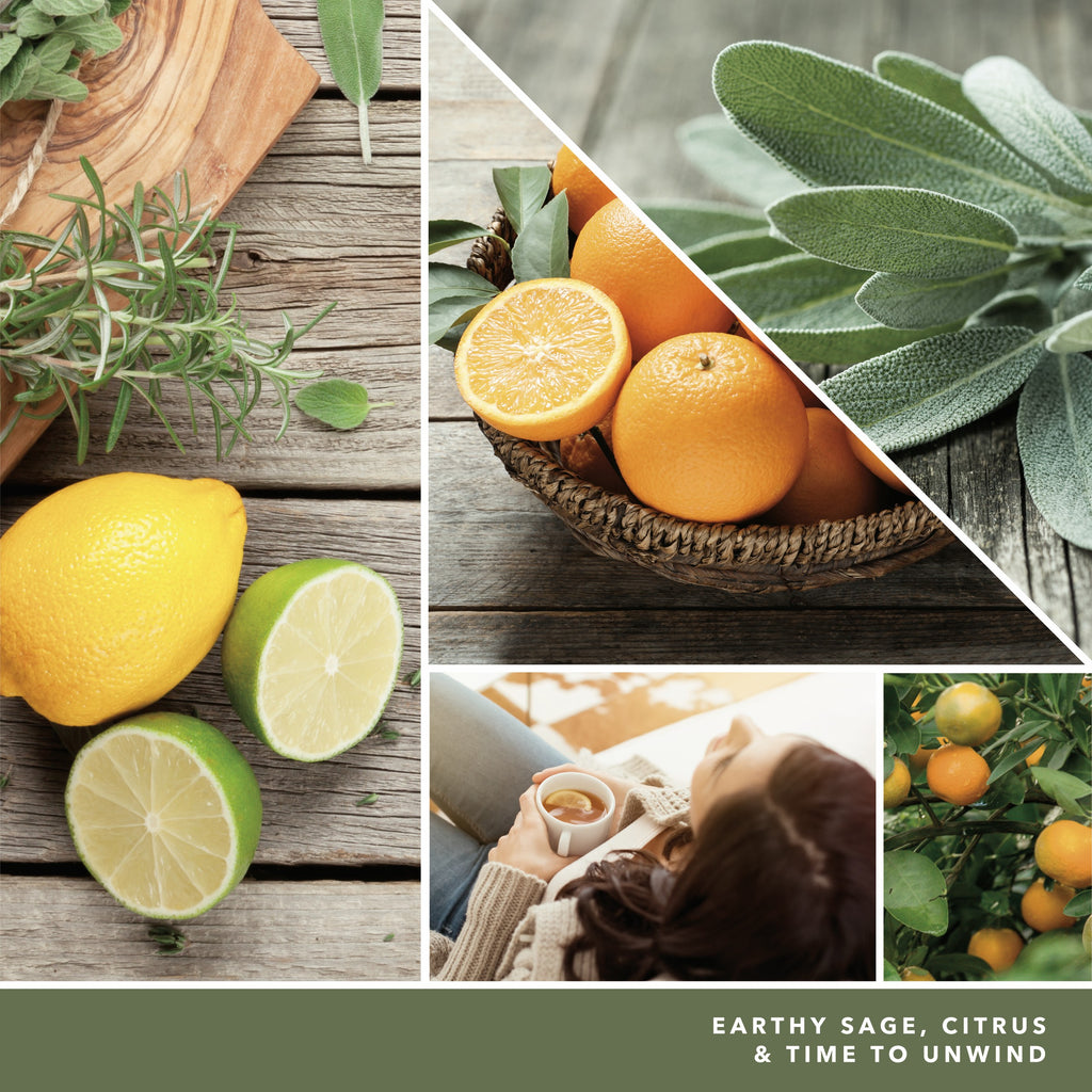 yankee candle SAGE & CITRUS candela profumata media