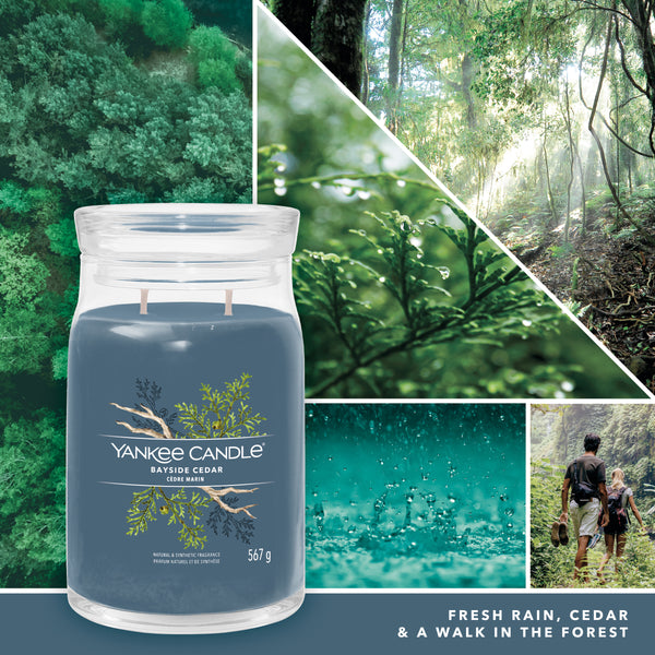 yankee candle BAYSIDE CEDAR candela profumata grande