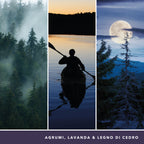 yankee candle diffusori per ambiente midsummer night
