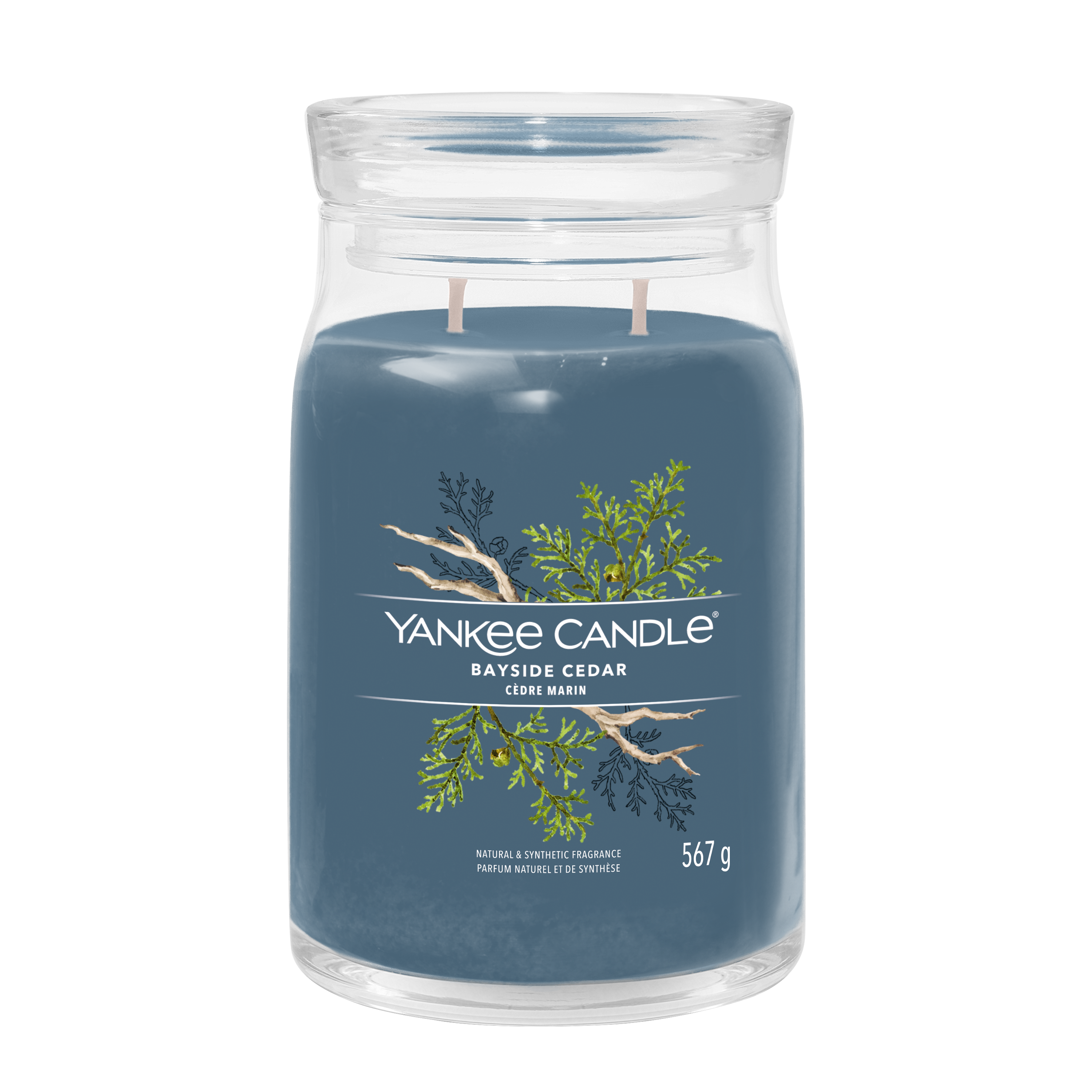 yankee candle BAYSIDE CEDAR candela profumata grande