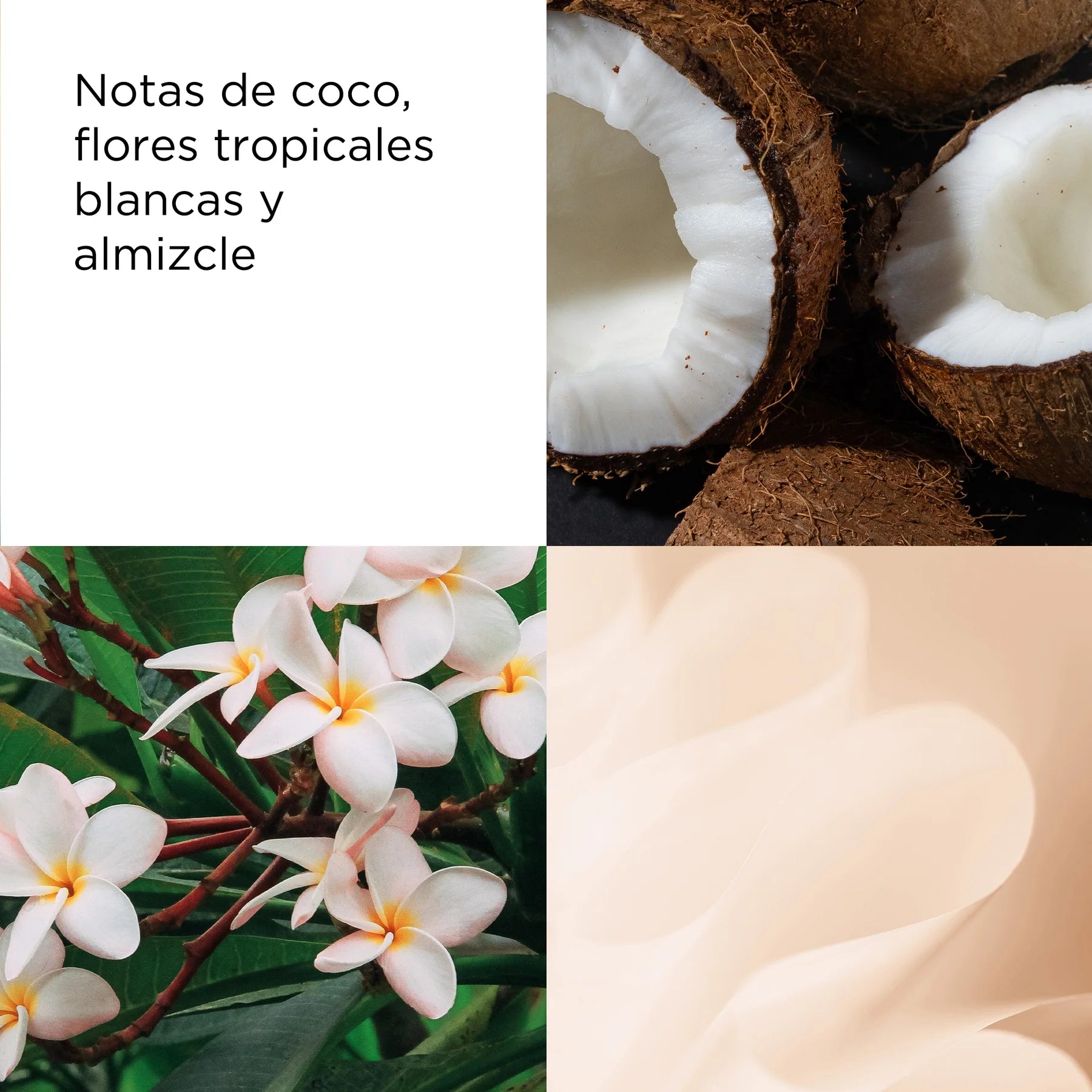 elizabeth arden Crema corpo al tè verde, cocco, brezza e miele 500 ml