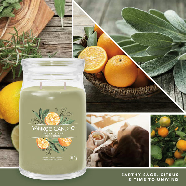 yankee candle SAGE & CITRUS candela profumata grande