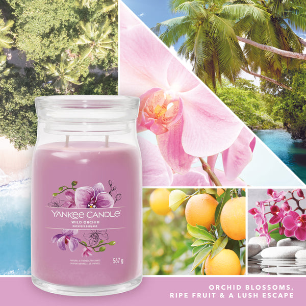 yankee candle WILD ORCHID candela profumata grande