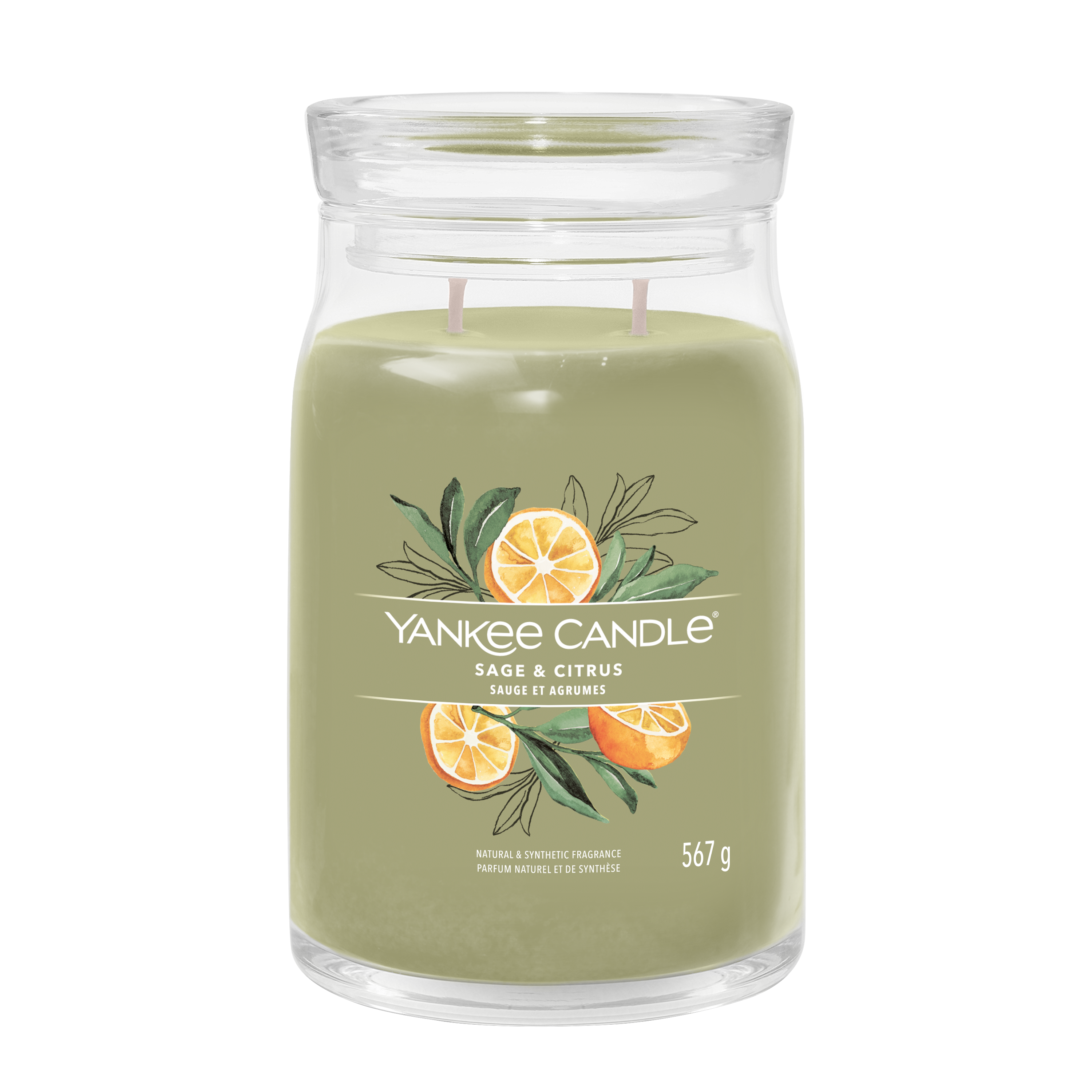 yankee candle SAGE & CITRUS candela profumata grande