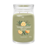 yankee candle SAGE & CITRUS candela profumata grande