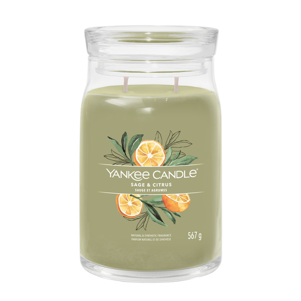 yankee candle SAGE & CITRUS candela profumata grande