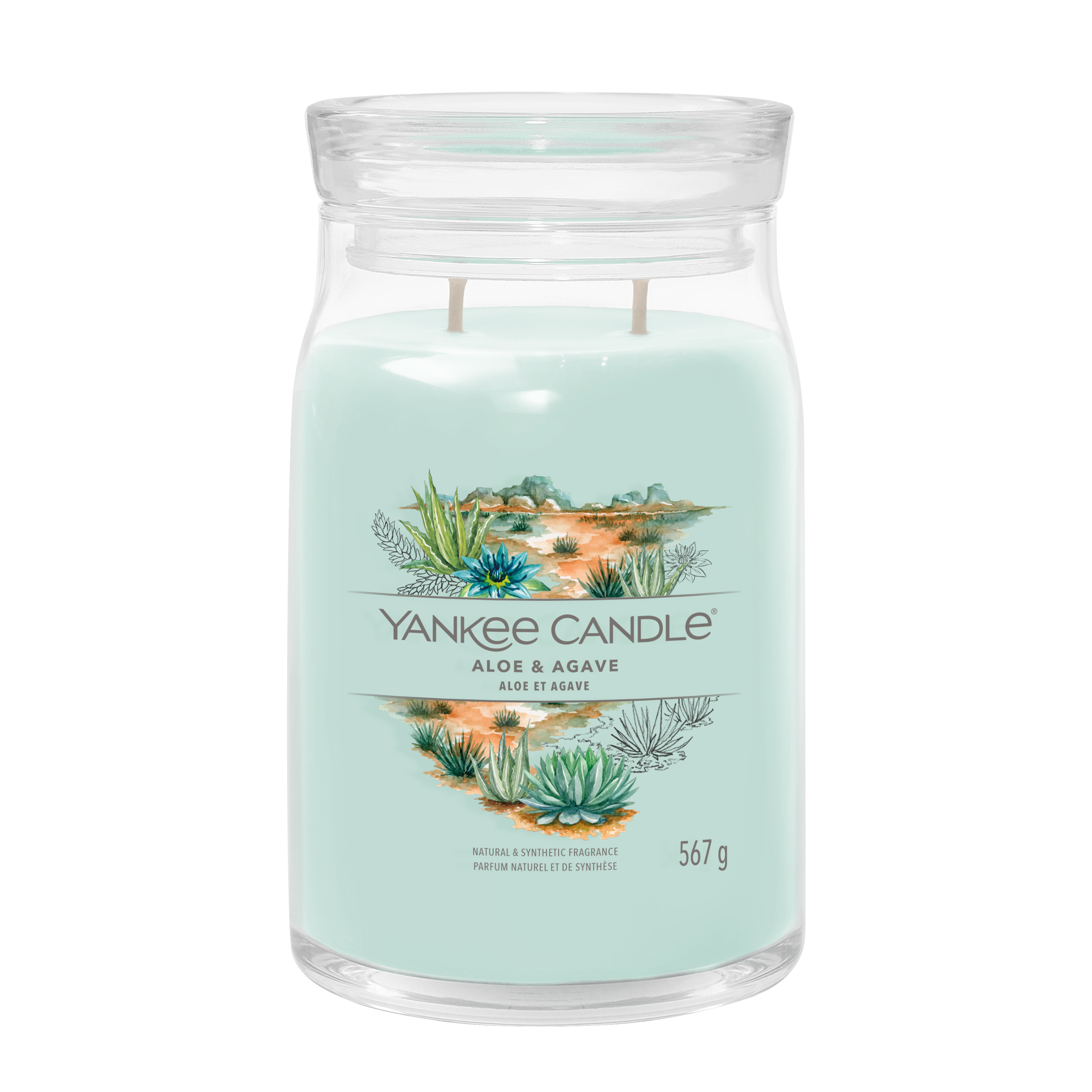 Yankee Candle ALOE & AGAVE candela profumata grande
