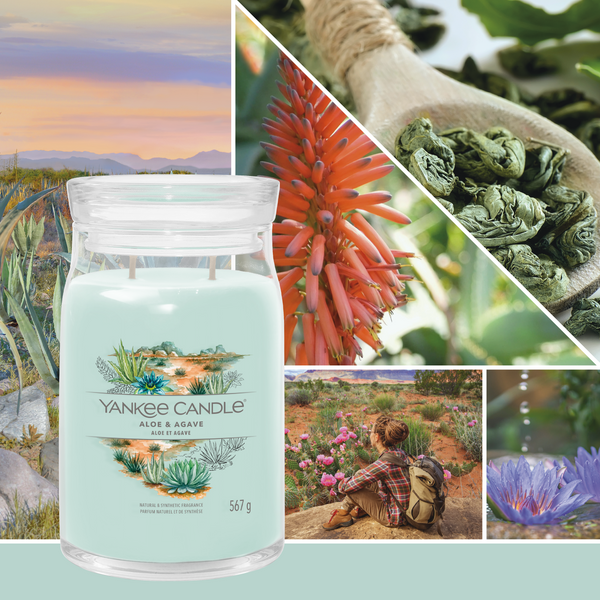 Yankee Candle ALOE & AGAVE candela profumata grande