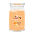 yankee candle MANGO ICE CREAM candela profumata grande