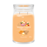 yankee candle MANGO ICE CREAM candela profumata grande