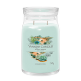 Yankee Candle ALOE & AGAVE candela profumata grande