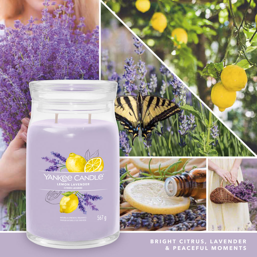 yankke candle LEMON LAVENDER candela profumata grande