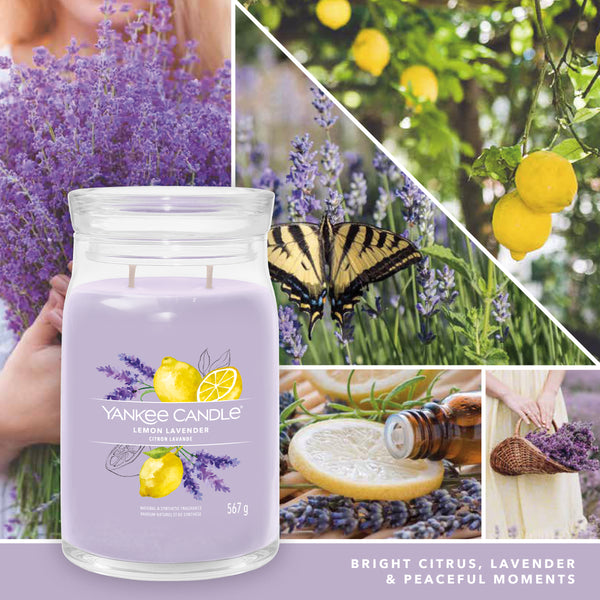 yankke candle LEMON LAVENDER candela profumata grande