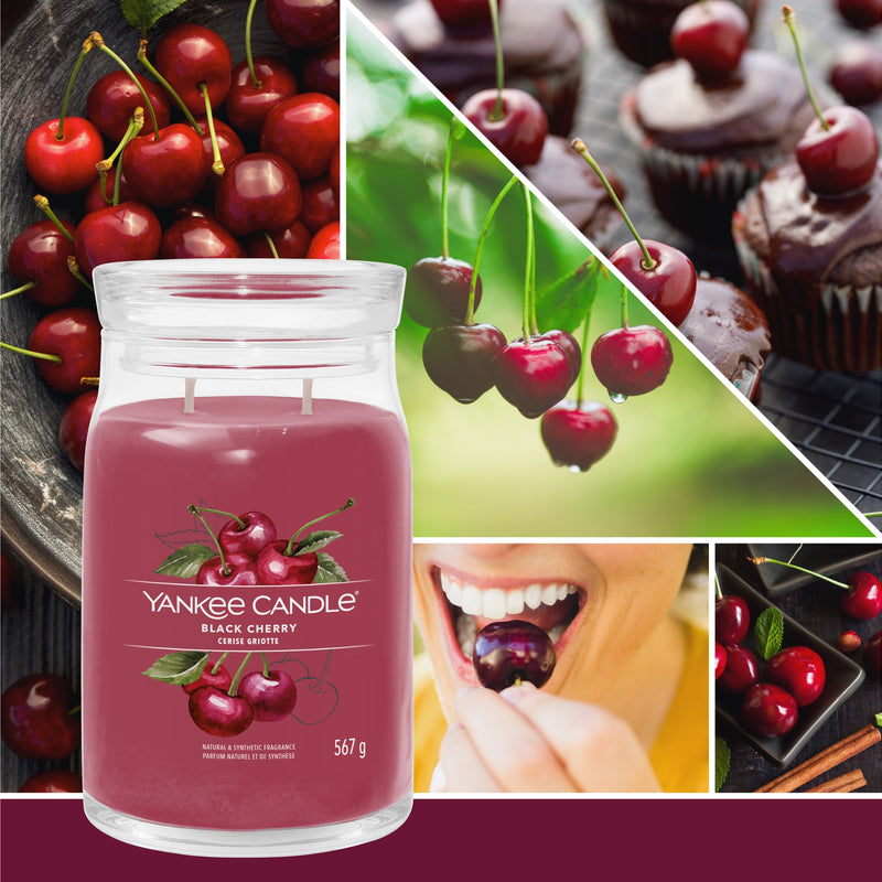 yankee candle BLACK CHERRY candela profumata grande