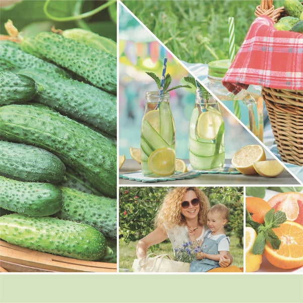 yankee candle CUCUMBER MINT COOLER candela profumata media