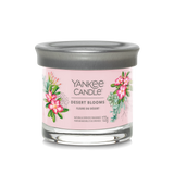 yankee candle DESERT BLOOMS candela profumata piccola