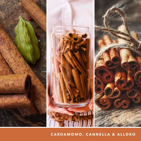 yankee candle CINNAMON STICK candela profumata media