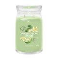 yankee candle VANILLA LIME candela profumata grande