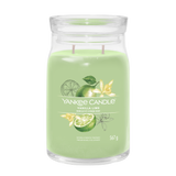 yankee candle VANILLA LIME candela profumata grande