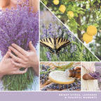 yankee candle LEMON LAVENDER candela profumata media
