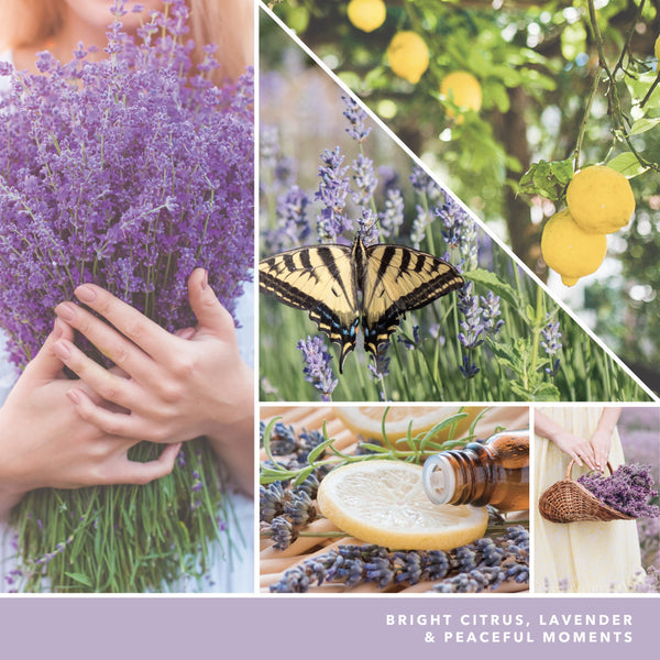 yankee candle LEMON LAVENDER candela profumata media