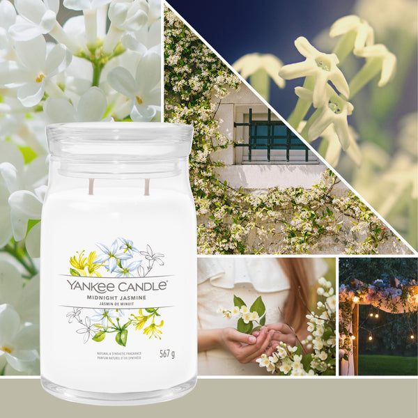 yankee candle MIDNIGHT JASMINE candela profumata grande