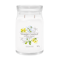 yankee candle MIDNIGHT JASMINE candela profumata grande