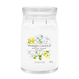 yankee candle MIDNIGHT JASMINE candela profumata grande