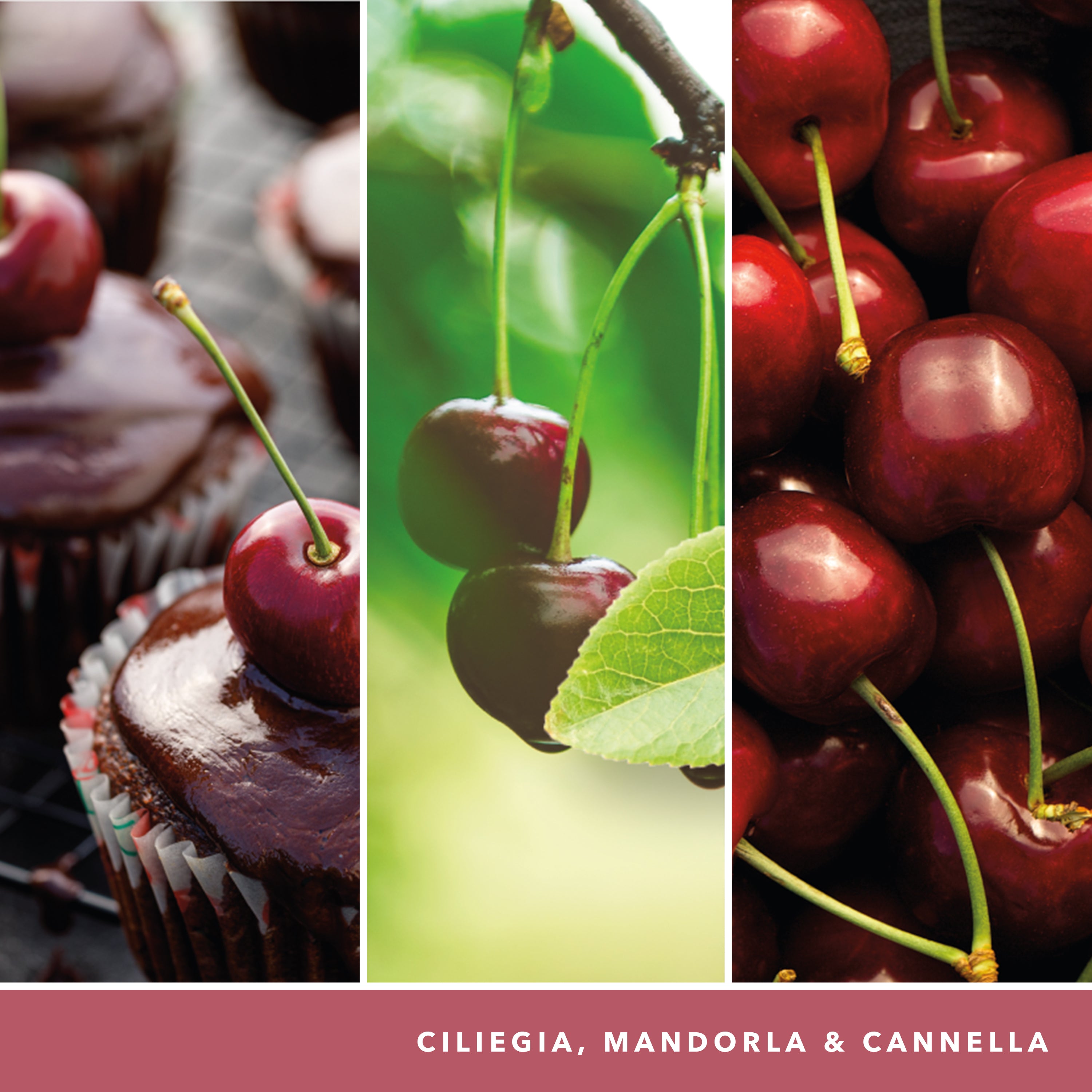 yankee candle BLACK CHERRY candela profumata grande