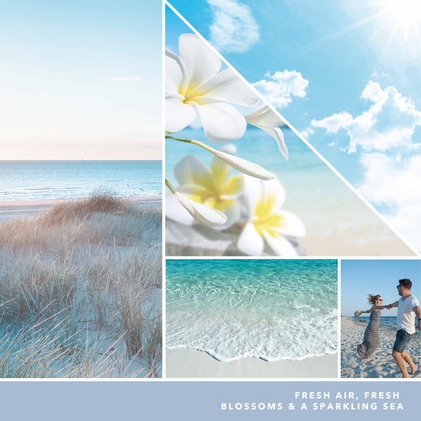 yankee candle diffusori per ambiente ocean air