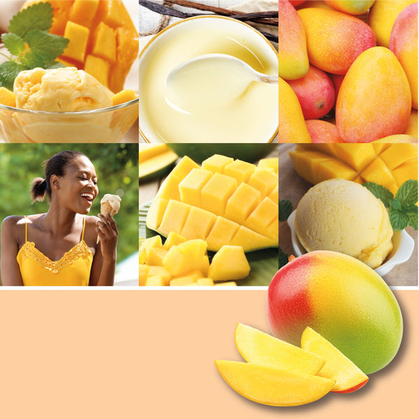 yankee candle MANGO ICE CREAM candela profumata media
