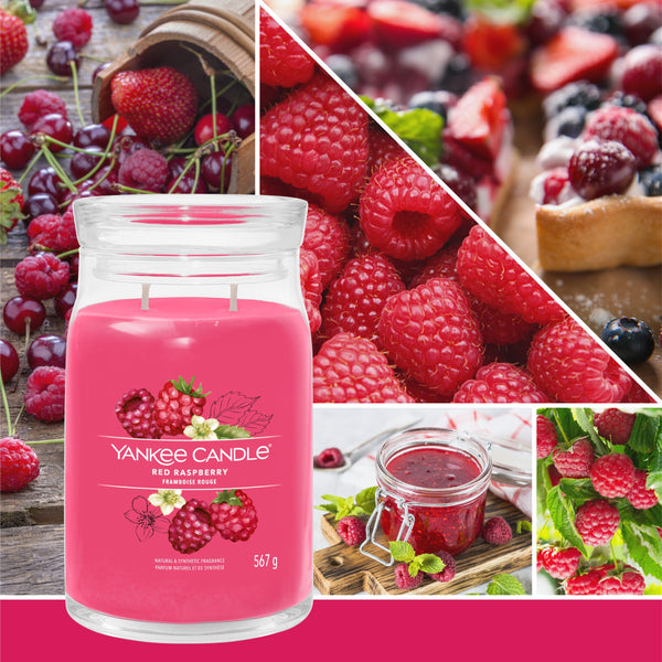 yankee candle RED RASPBERRY candela profumata grande