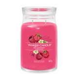 yankee candle RED RASPBERRY candela profumata grande