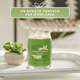 YANKEE CANDLE VANILLA LIME giara grande