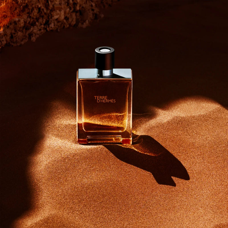 HERMÈS Terre d’Hermès Eau de Toilette 100ml