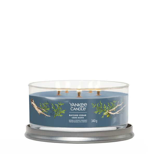 YANKEE CANDLE BAYSIDE CEDAR giara brande 5 stoppini