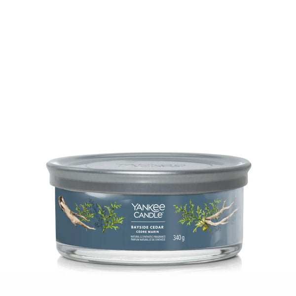 YANKEE CANDLE BAYSIDE CEDAR giara brande 5 stoppini