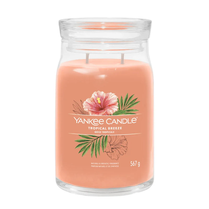 yankee candle tropical breeze giara grande